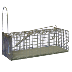 Single live catch Rat Trap