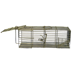 Family Humane Rat Trap