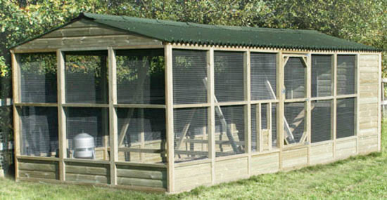 Large, Walk In Chicken Coops with Run (6x9' Basic Size + Options)