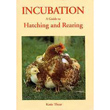 Incubation