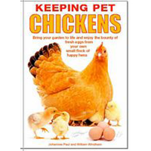 Keeping Pet Chickens