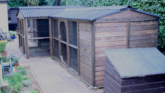 Custom built 'T' shaped chicken house and run.