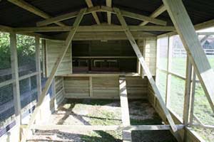 Large Chicken House with Door opens