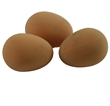 Large Brown Rubber Pot / dummy egg