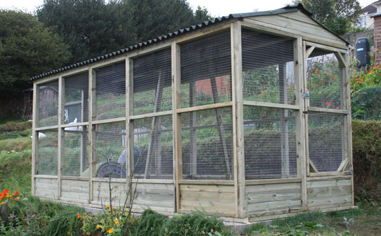 6x15' walk in in chicken run with 12