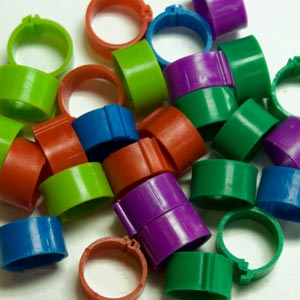 8 mm poultry click rings