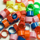 pack of 10 x 12mm chicken leg rings