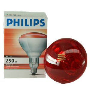 250W Infrared Heat Lamp Bulb Ruby - Red