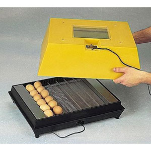 Brinsea Poly Hatch 42 egg incubator 12v