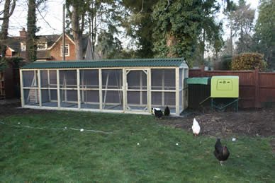 Large chicken run attached to a Eglu Cube