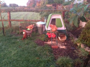 emmalalebrown@yahoo.co.uk