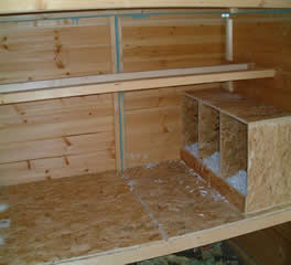 inside large chicken shed