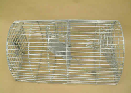 Monarch live capture rat trap