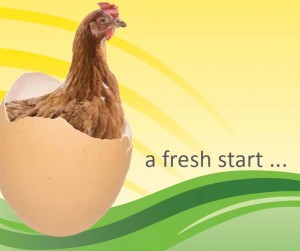 Fresh start For Hens