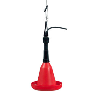 Automatic chicken drinker