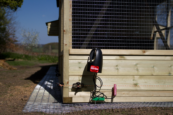 Shrike electric fence energiser powering a low level electric fence to deter Mr Fox